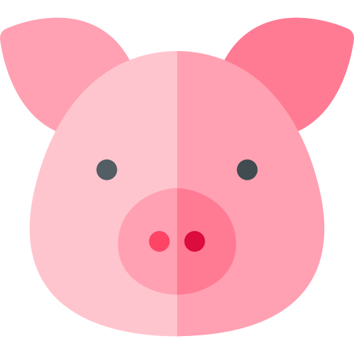 pig